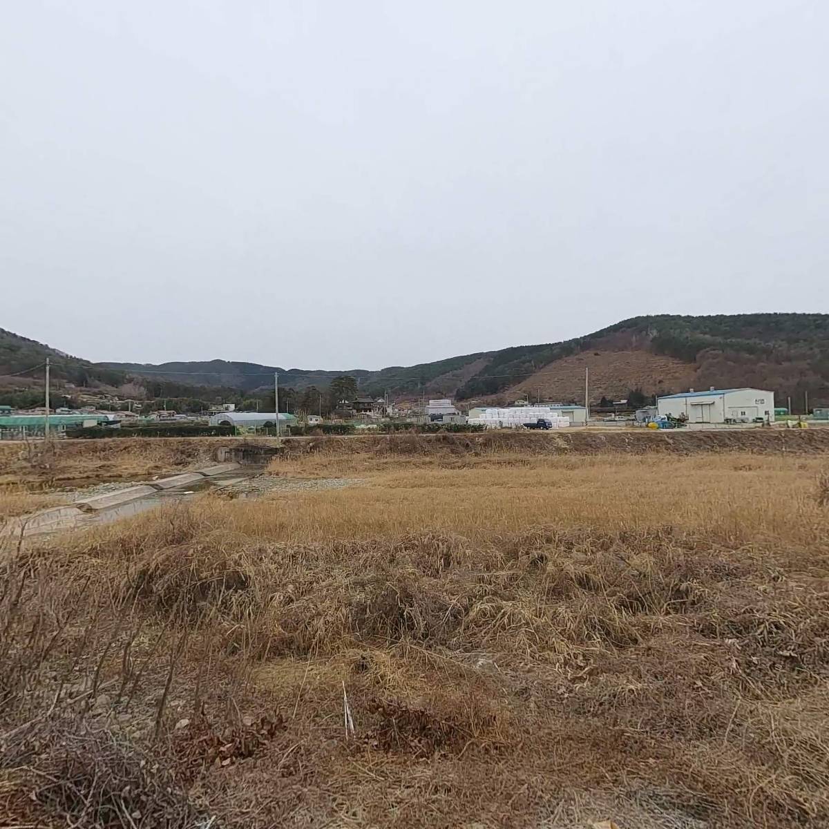 뿔다구생고기식육