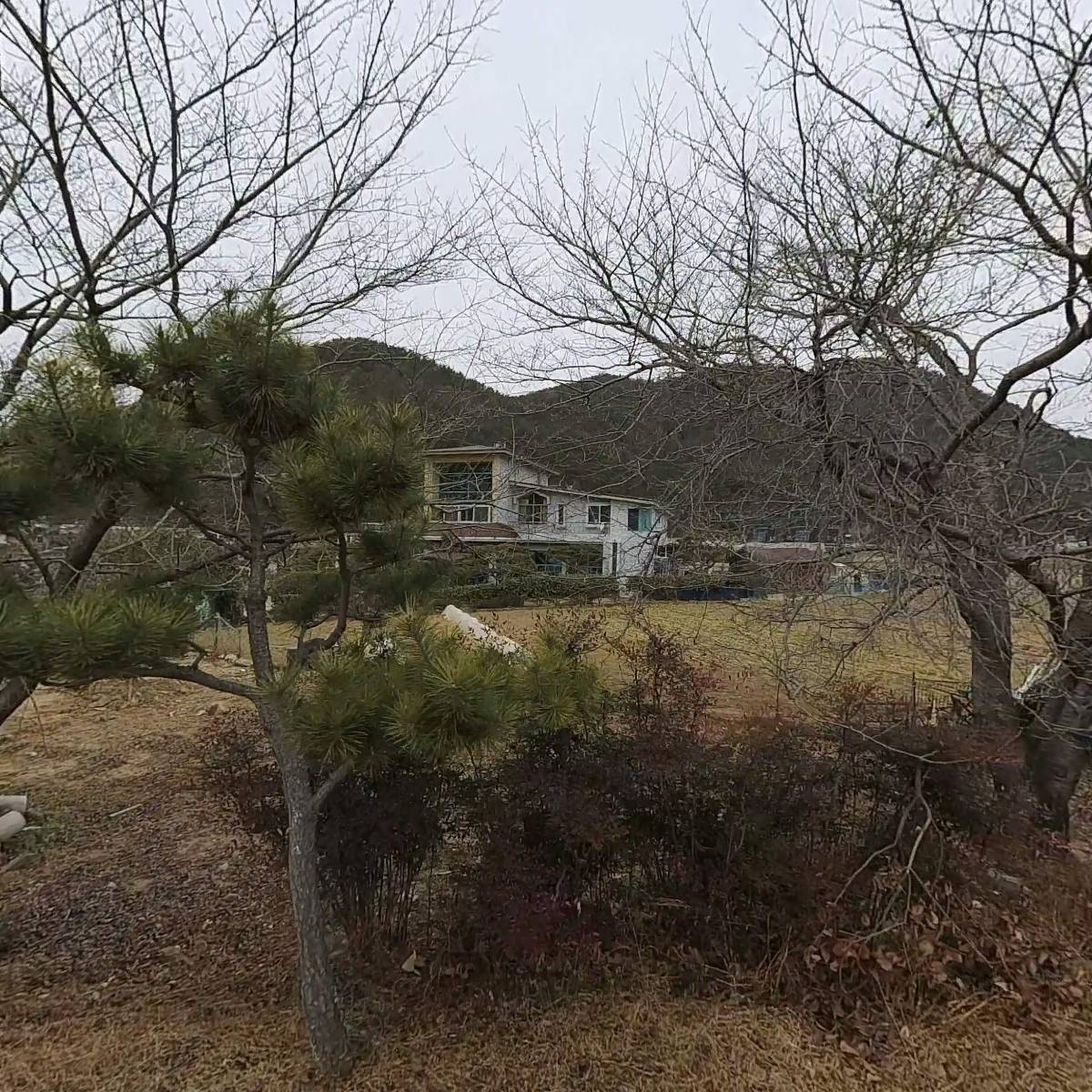 뿔다구생고기식육_3