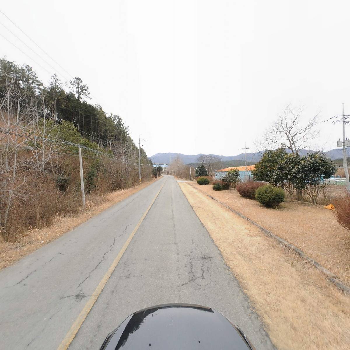 농업회사법인 주식회사 이룸스테비아 해남지점_4