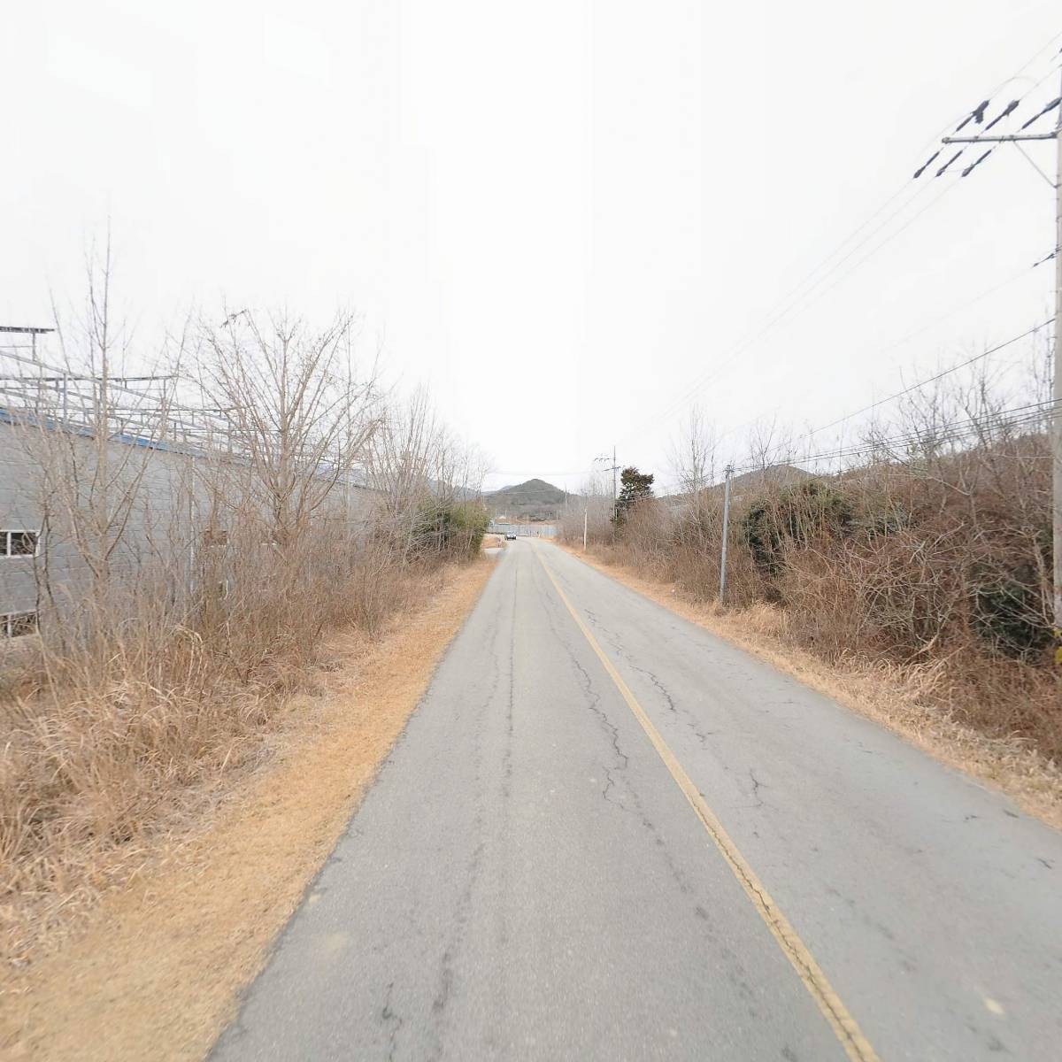 농업회사법인 주식회사 이룸스테비아 해남지점_2