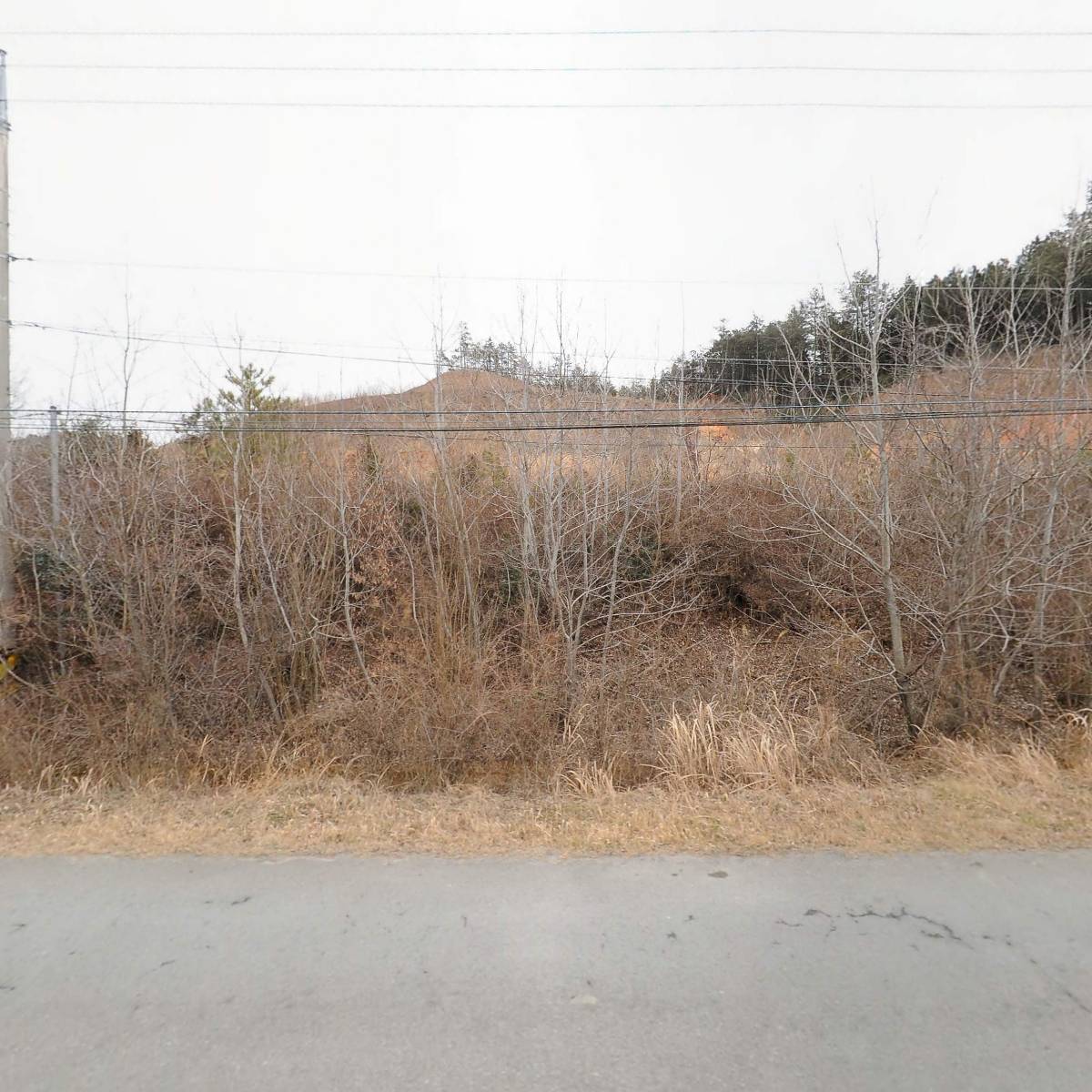 농업회사법인 주식회사 이룸스테비아 해남지점_3