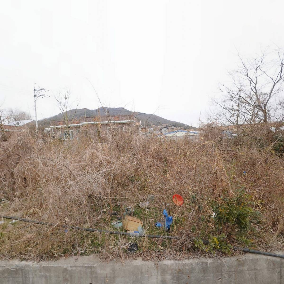 전라남도해남교육청 영명중학교