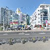 봄날_3