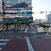 필유동물메디컬센터