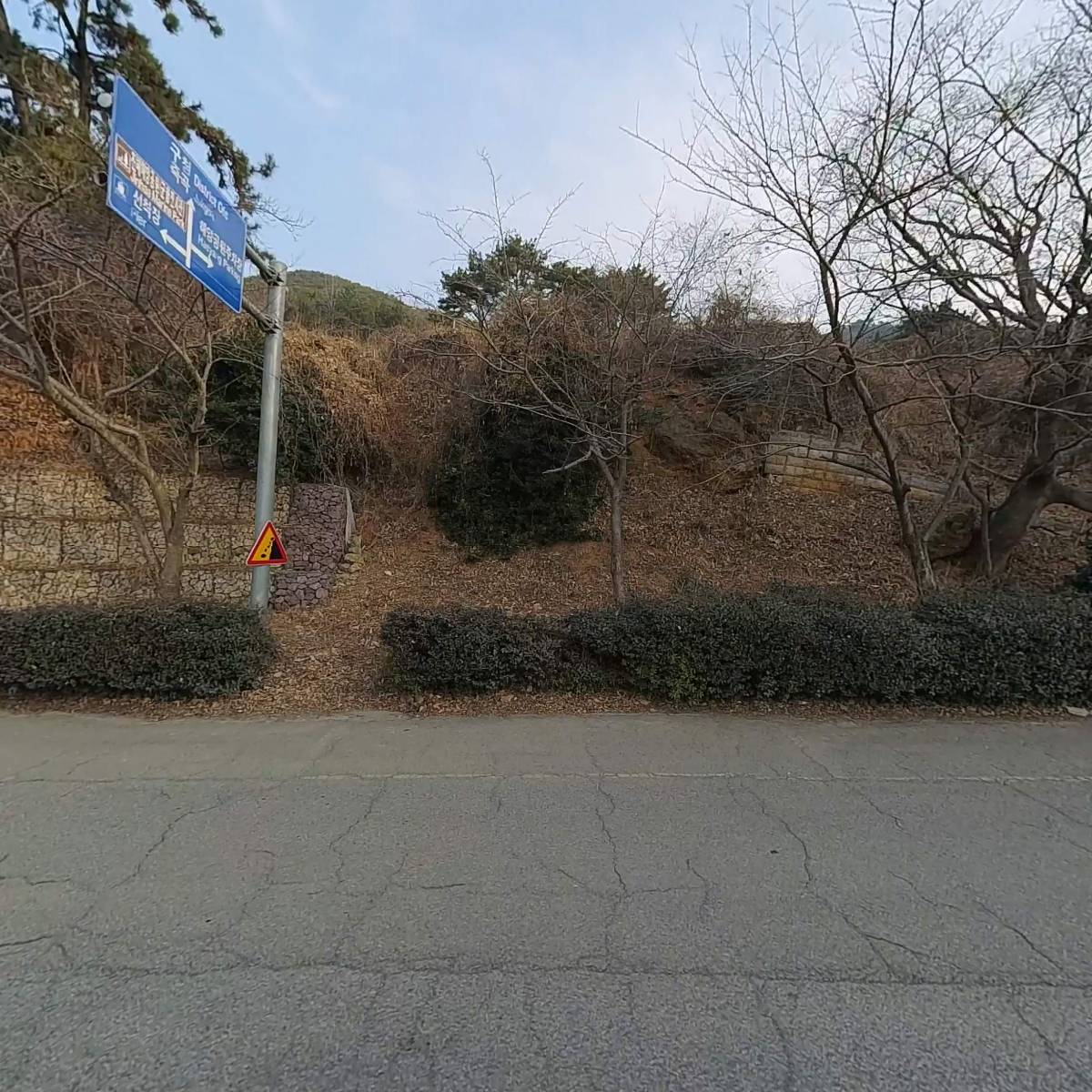 정광중기_3
