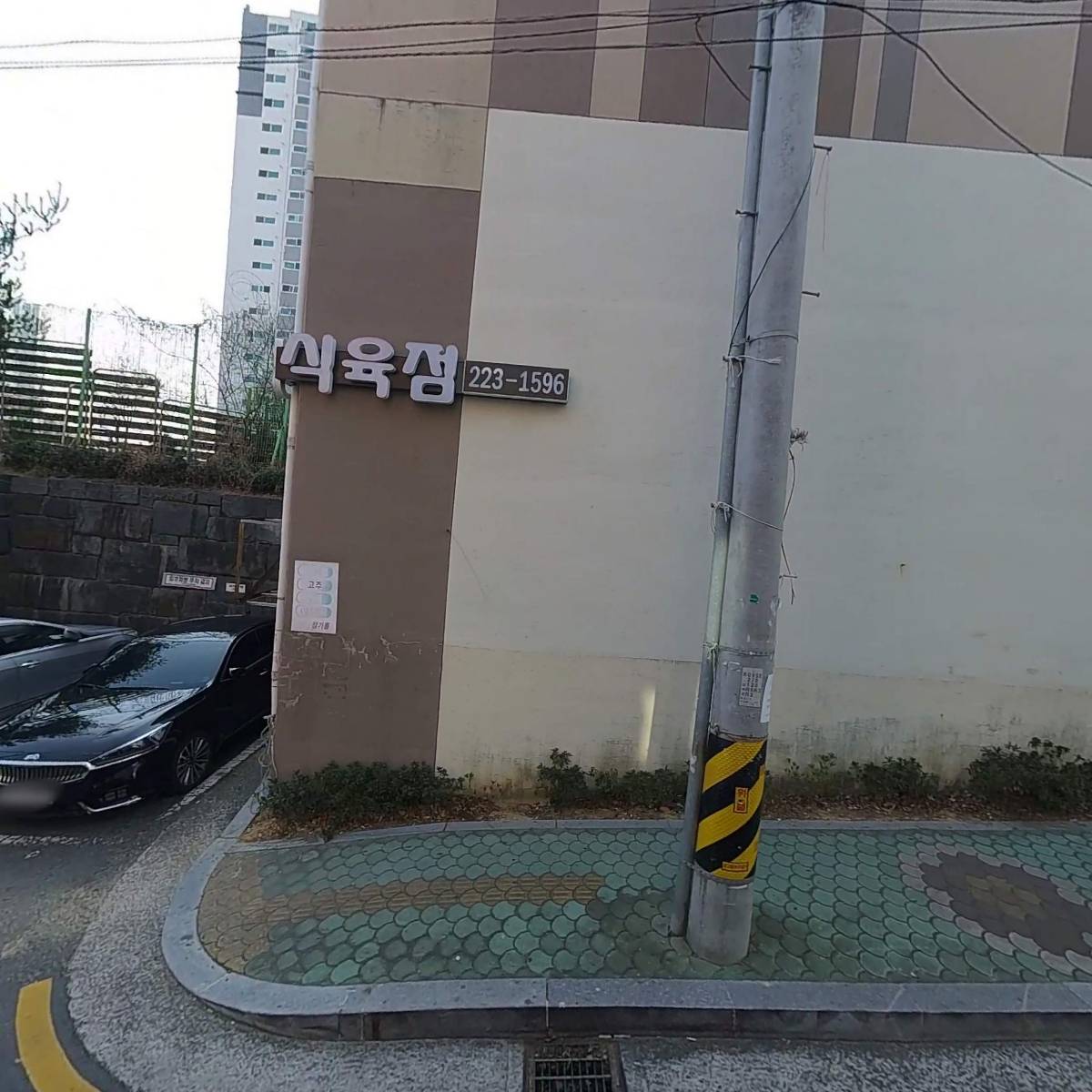 트러스트코리아
