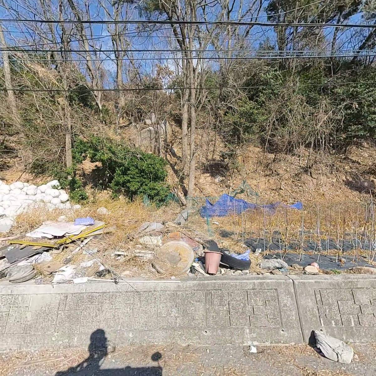 마산수산업협동조합원전위판장