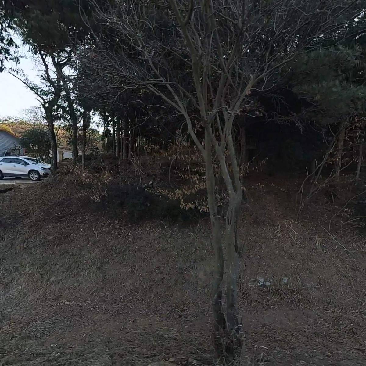 주식회사 씨타조경건설