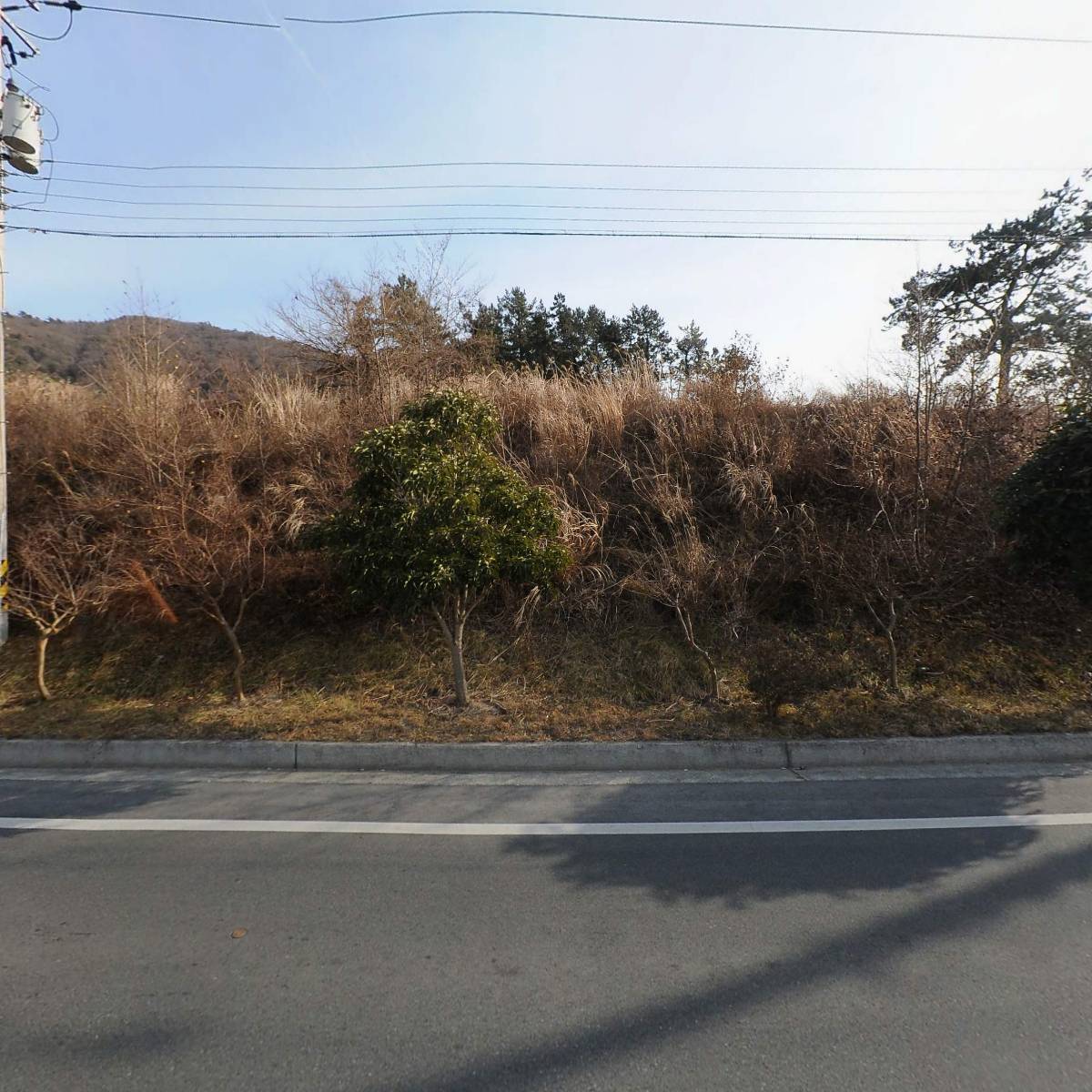 가두리수산물직판장_3