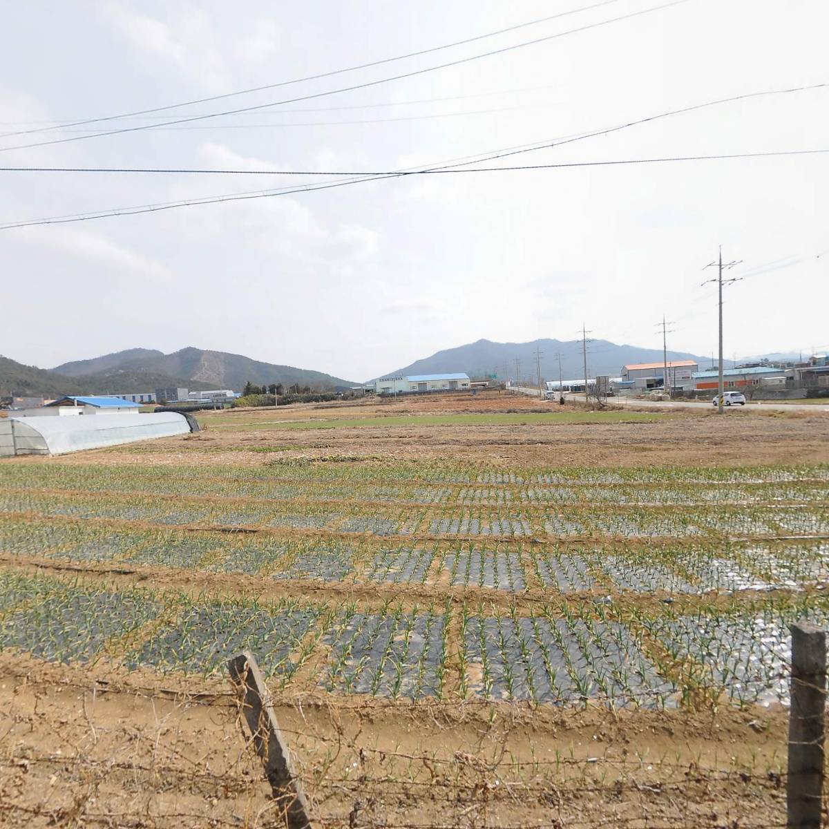 사계절영농조합법인