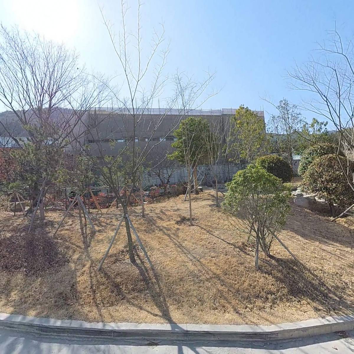 커피앤더코이