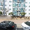 정초자 인셀덤