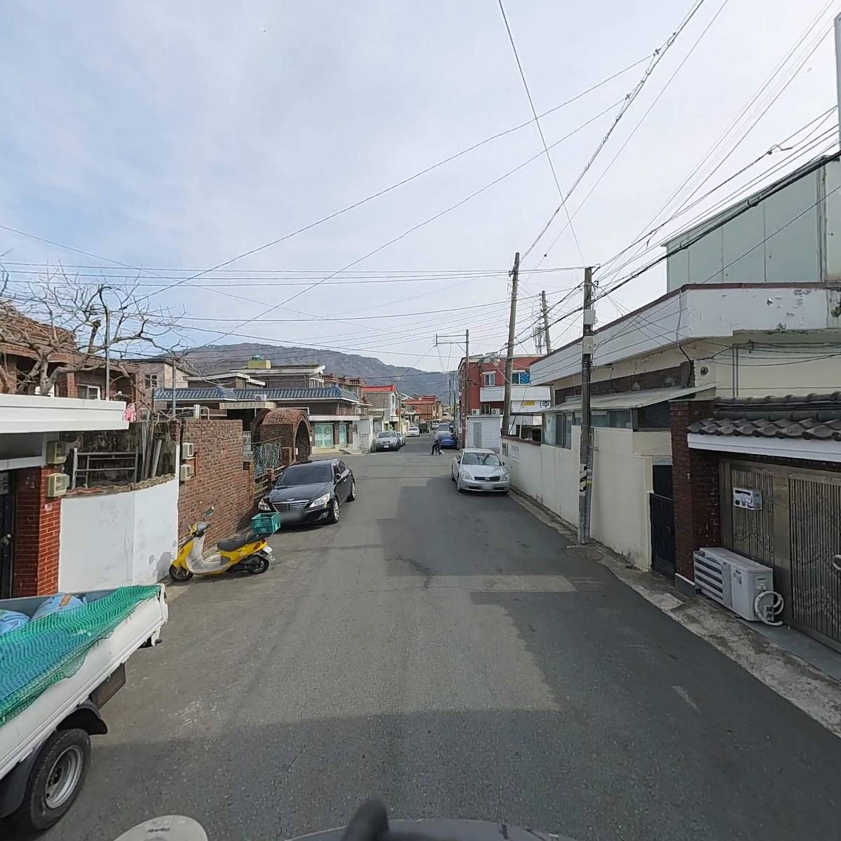 장미주단_2