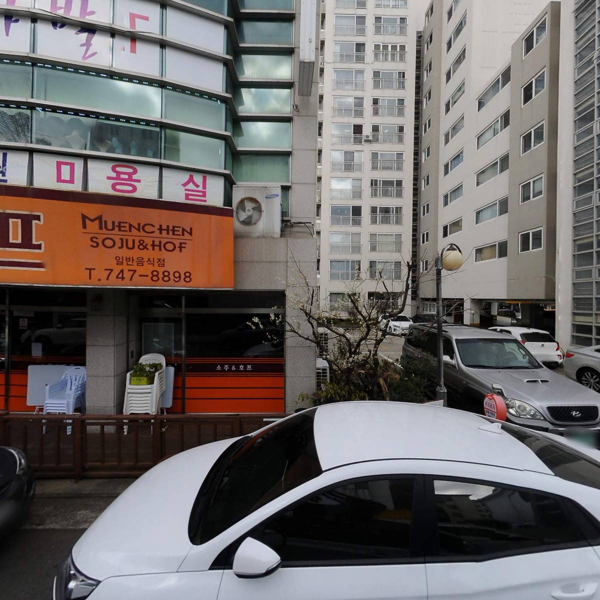 진주강씨 제주염통악파 입도5세조 치황문중회_3