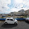 도두예소담_3