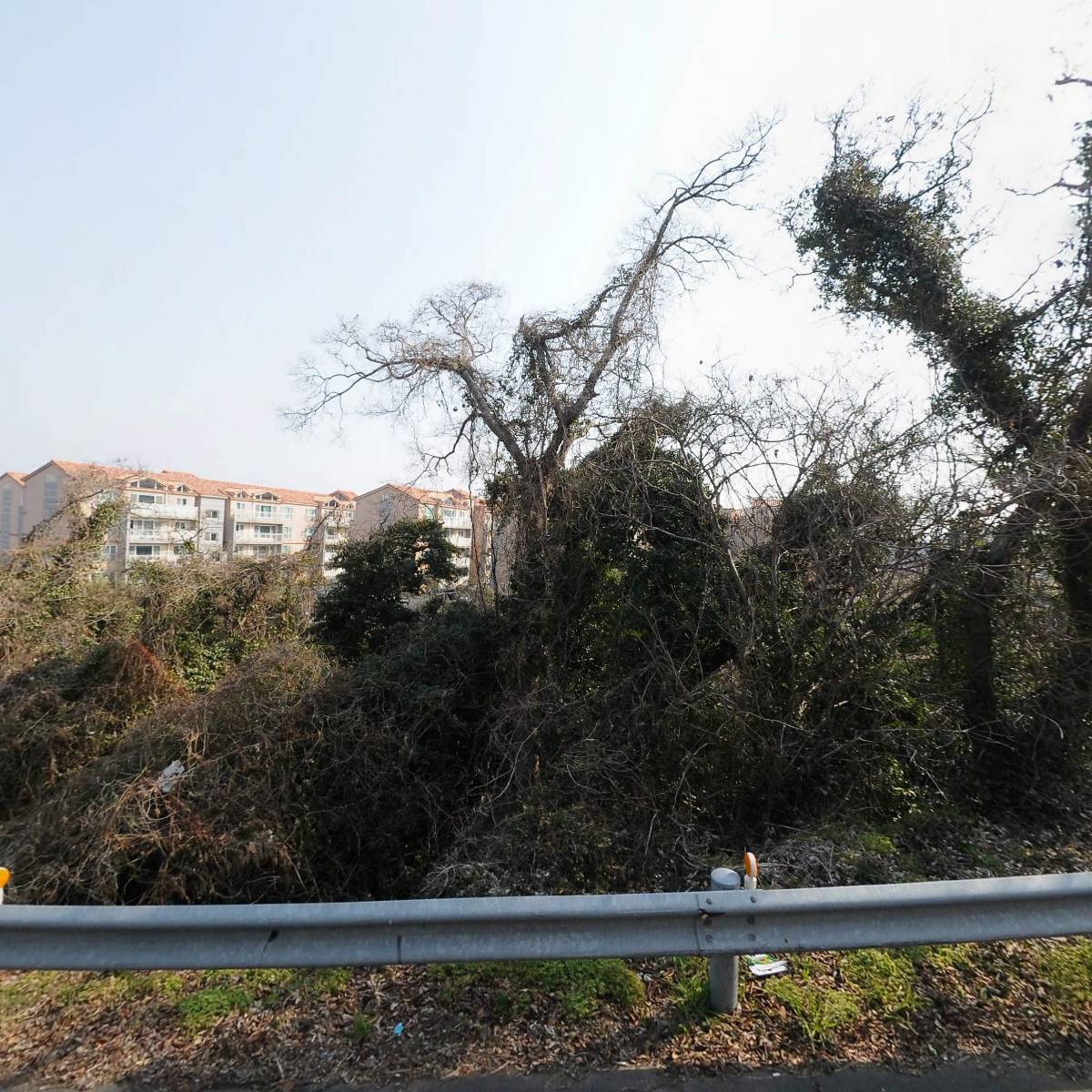 (주)현대고속관광여행사