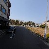삼미감귤_2