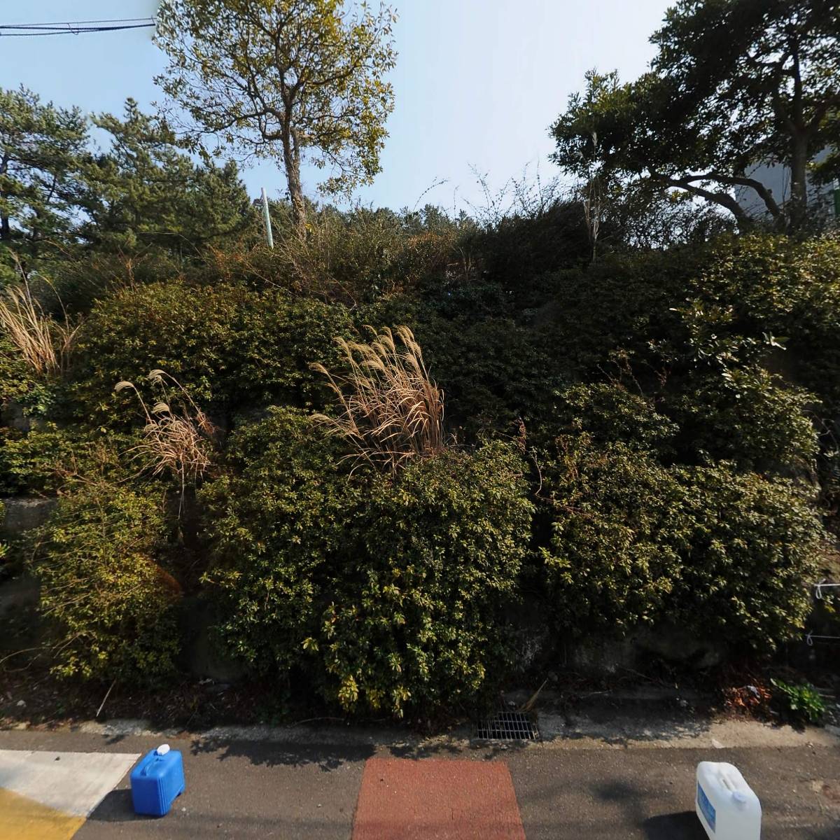 파인슐레어학원