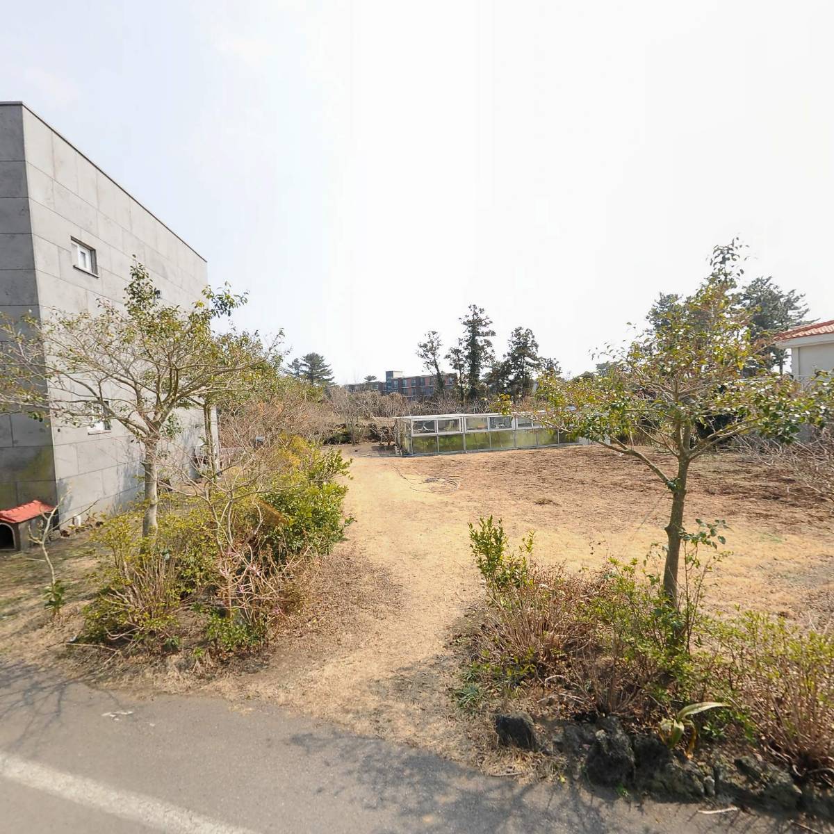 대한예수교장로회 제주성광교회