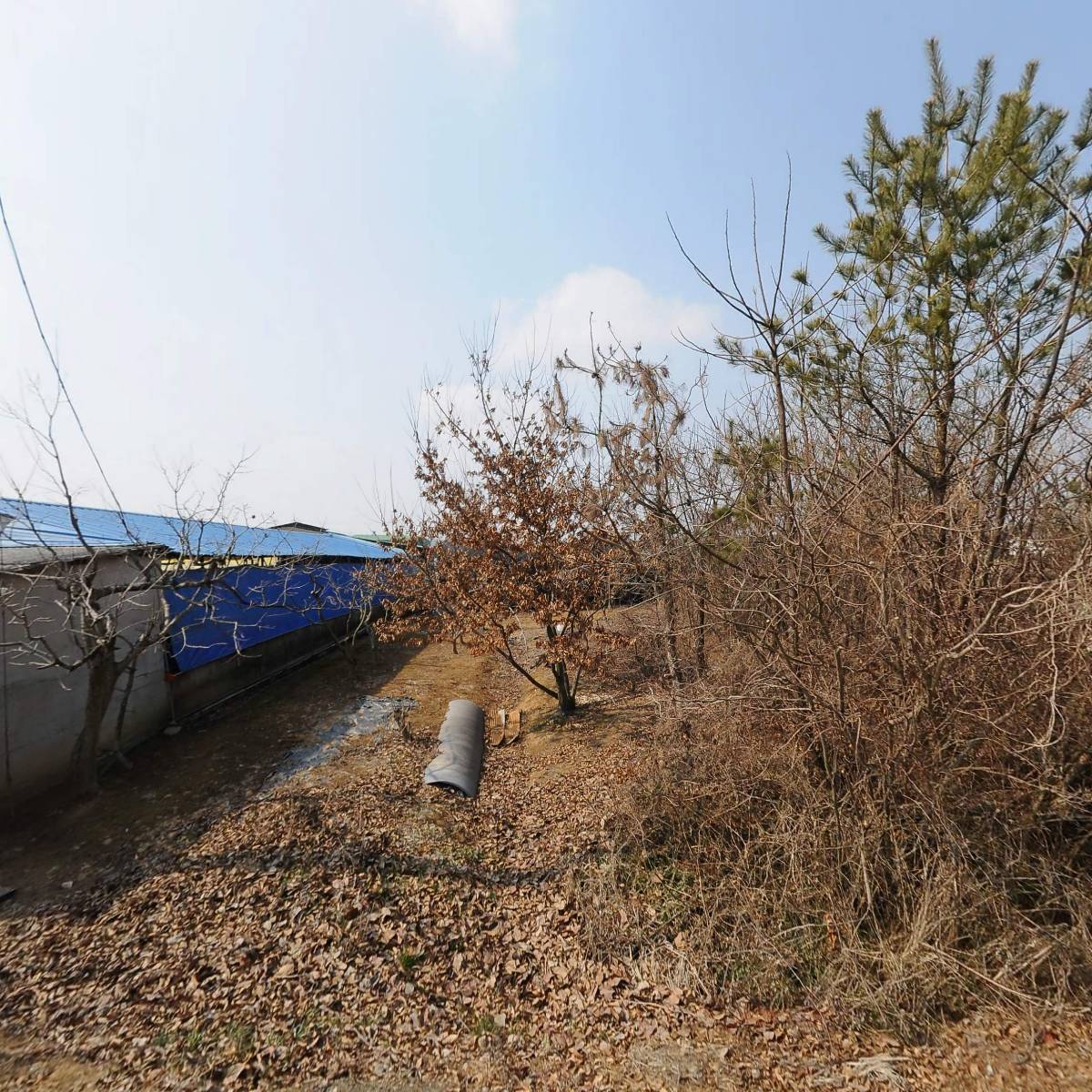 농업회사법인(주)빛가람산야초_3