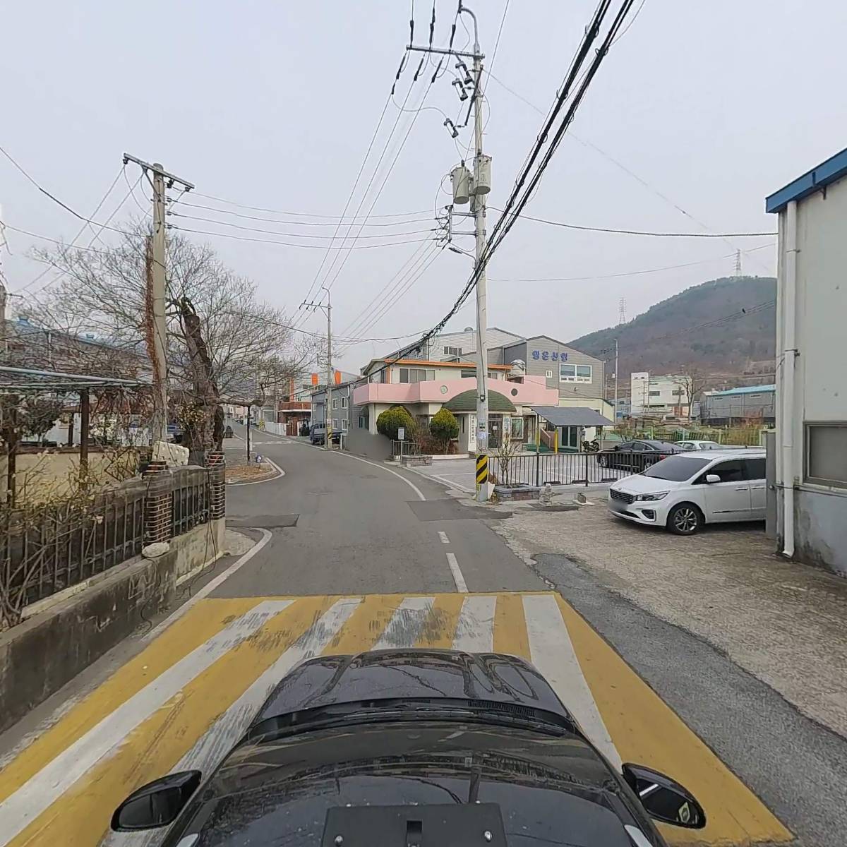 대성바이오_4