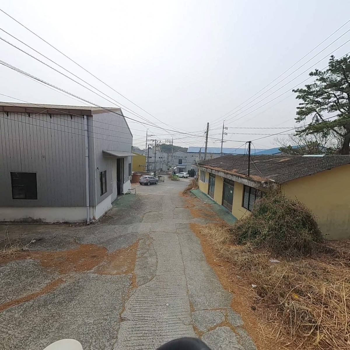 디에스스틸_2
