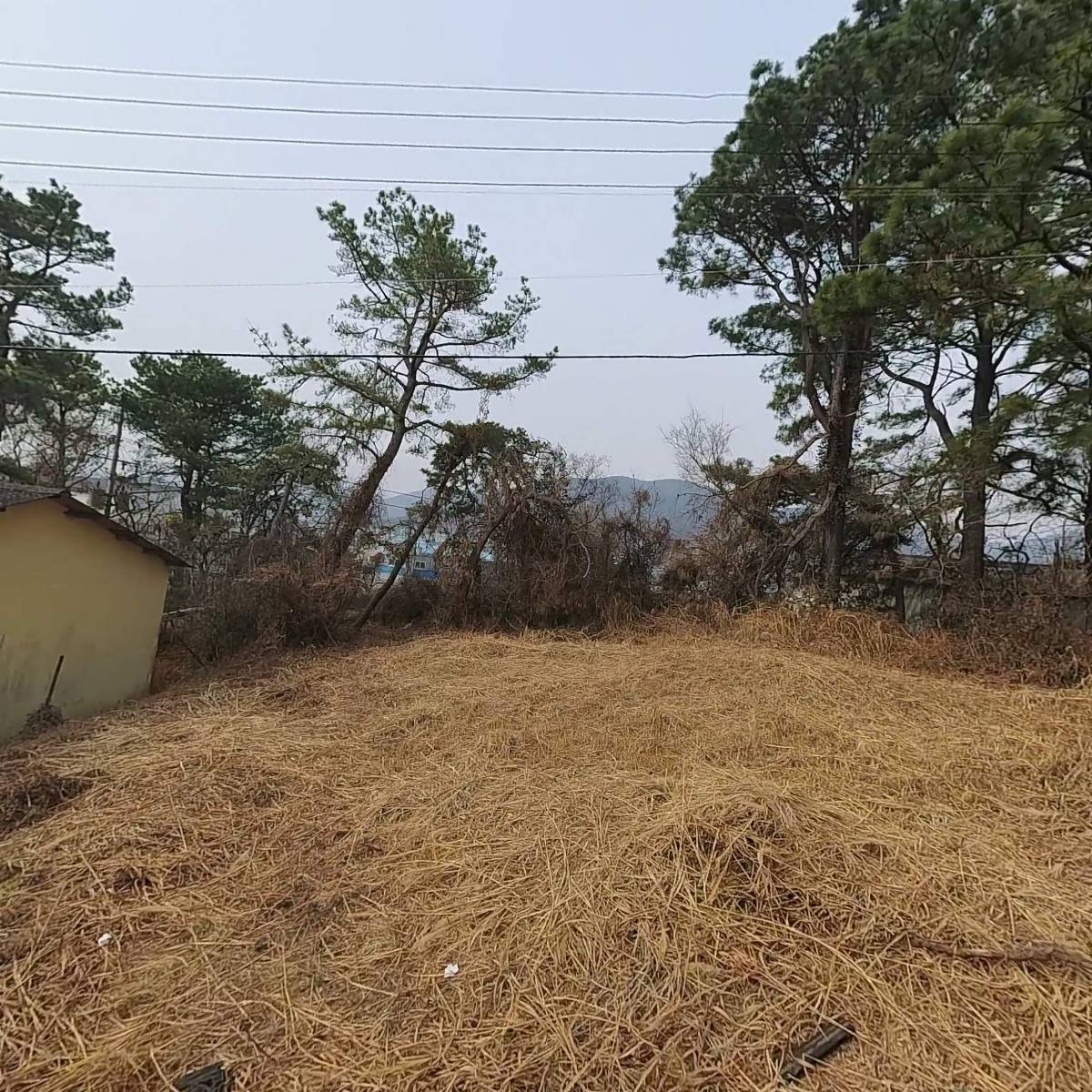 디에스스틸_3