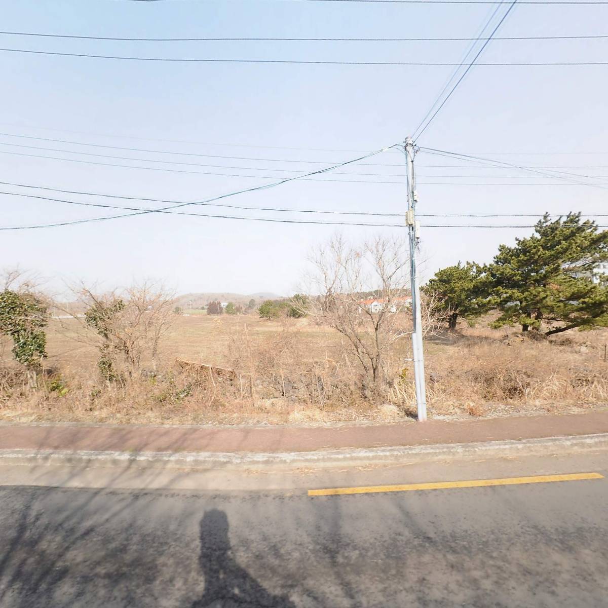 (주) 제주미니미니랜드_3