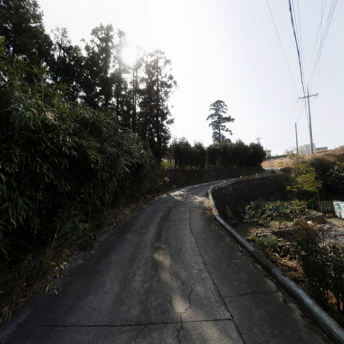 마리네동물병원_2