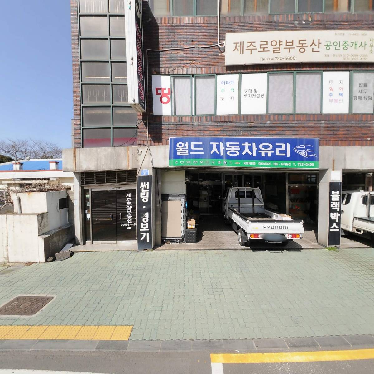 월드자동차유리