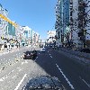 이서갈매기_4