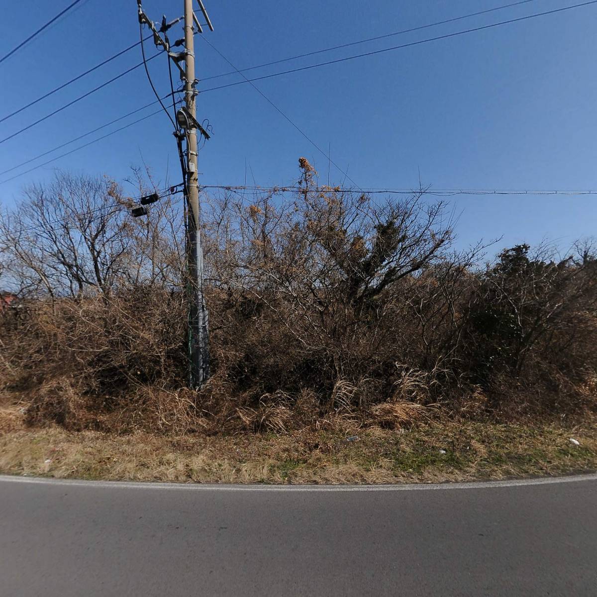 주식회사 뉴스타트_3
