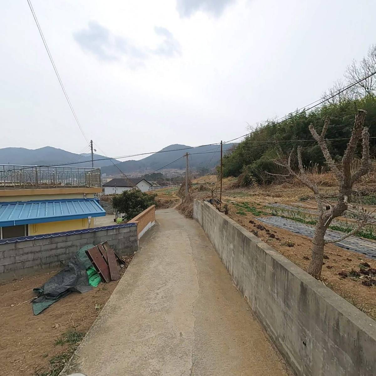진애생활복지원_2