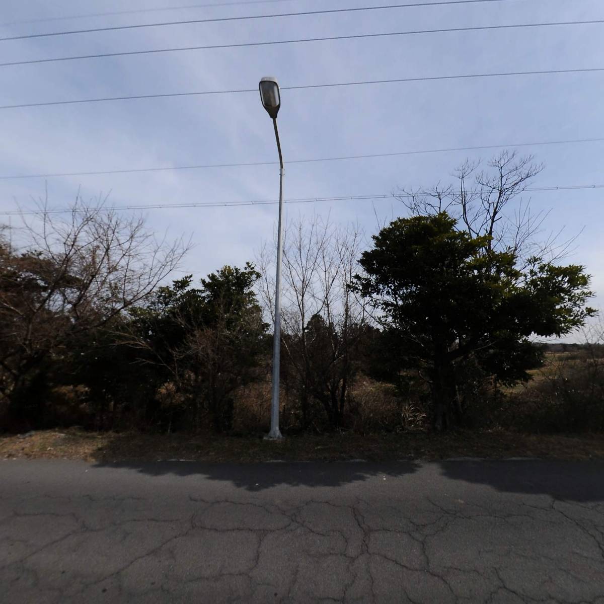 사단법인 제주특별자치도 지속가능환경교육센터_3