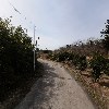 성불오름영농조합법인_2