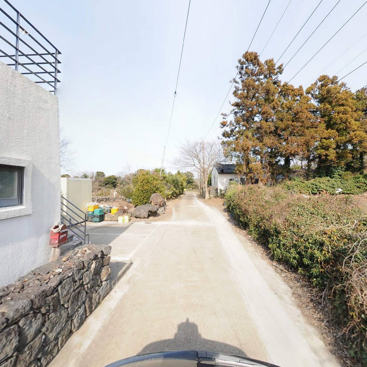 도르멍_2