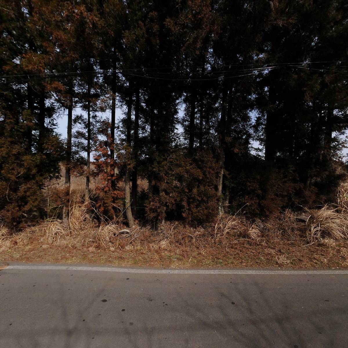 대구프라스틱_3