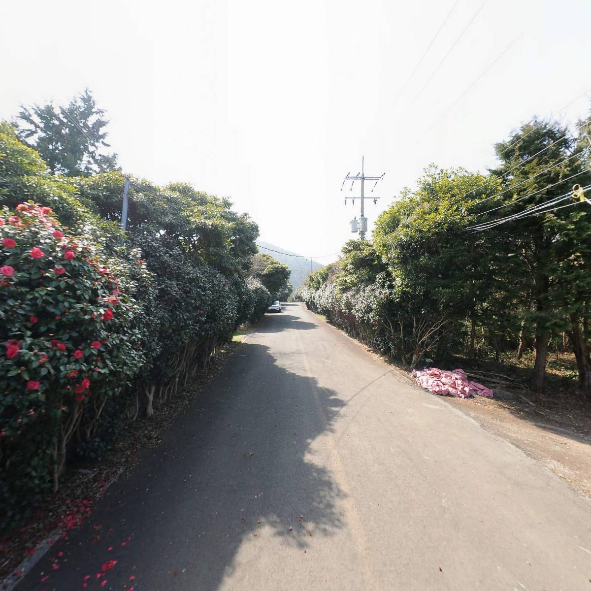 명상가의 집_2