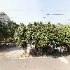 명상가의 집_3
