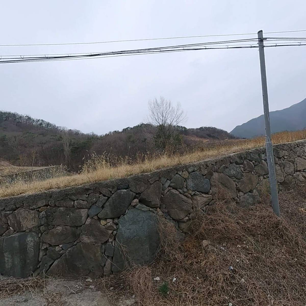 (주)대경플렉스