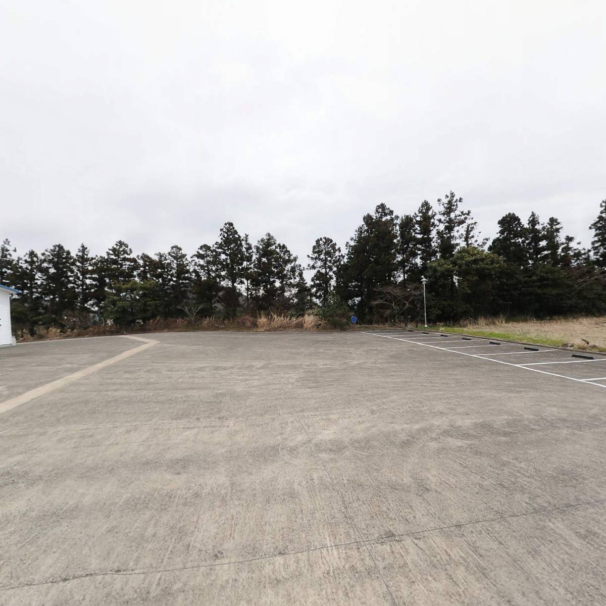 (주)바이오밸류