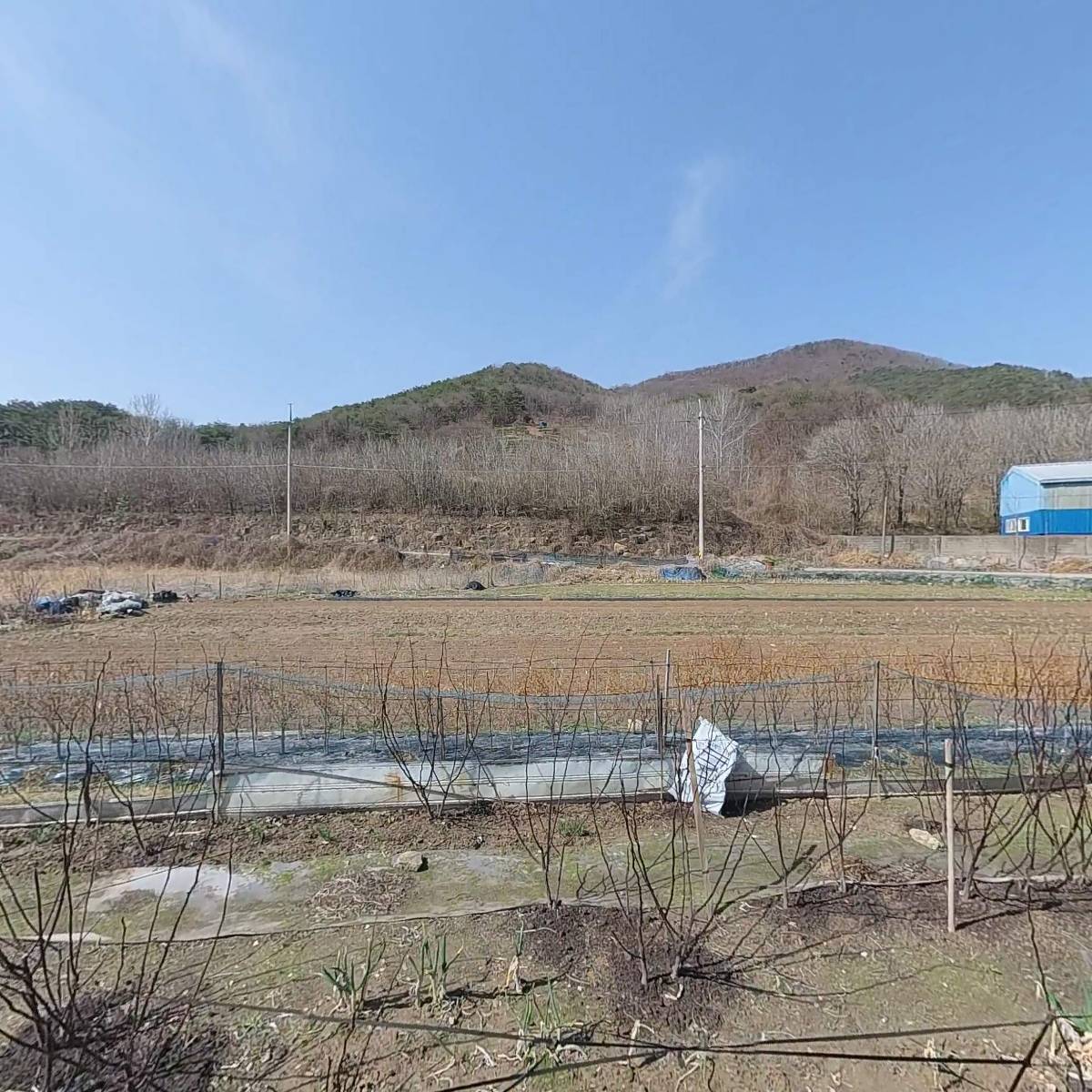 아주정공