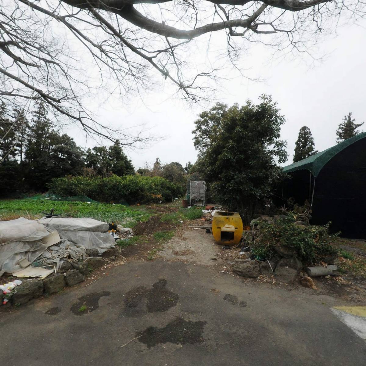 제24회 제주서초등학교동창회_3