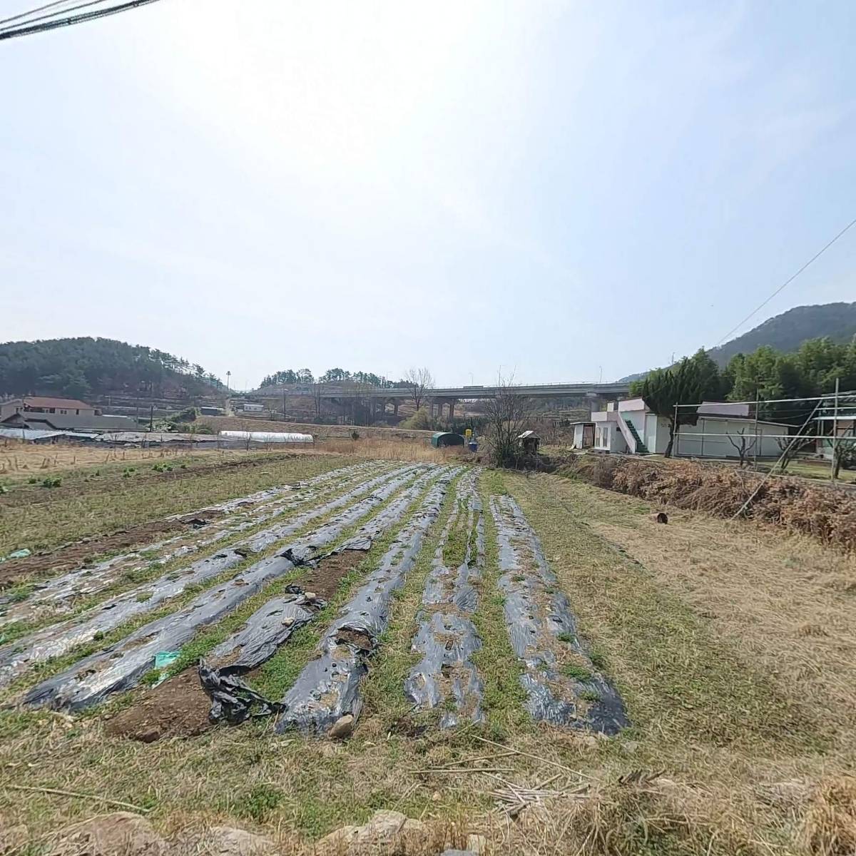 한국불교태고종 광명사_3