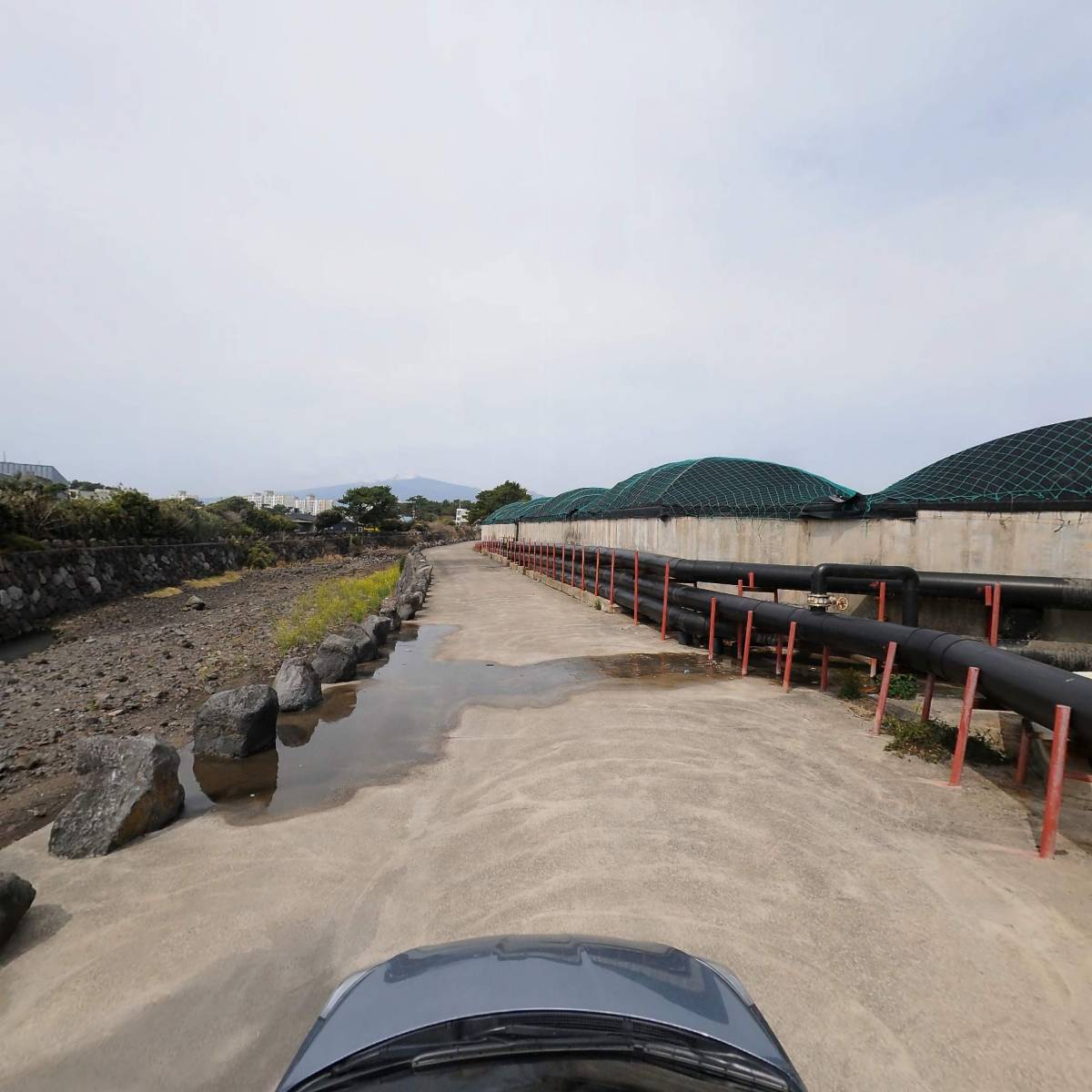 영어조합법인 남태수산_4