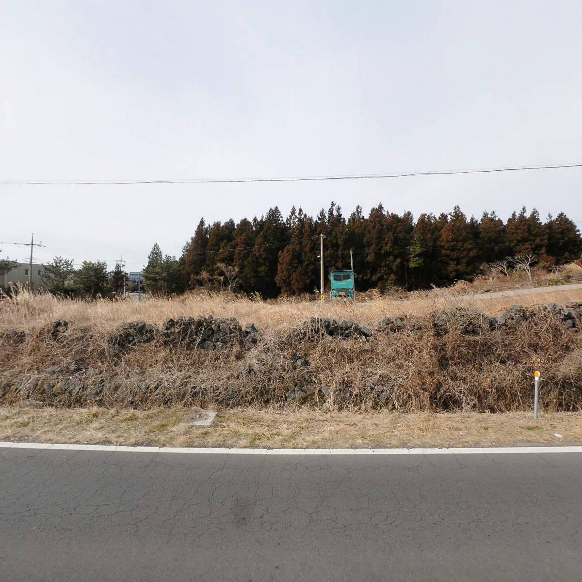 농업회사법인 주식회사 마이포레스트_3