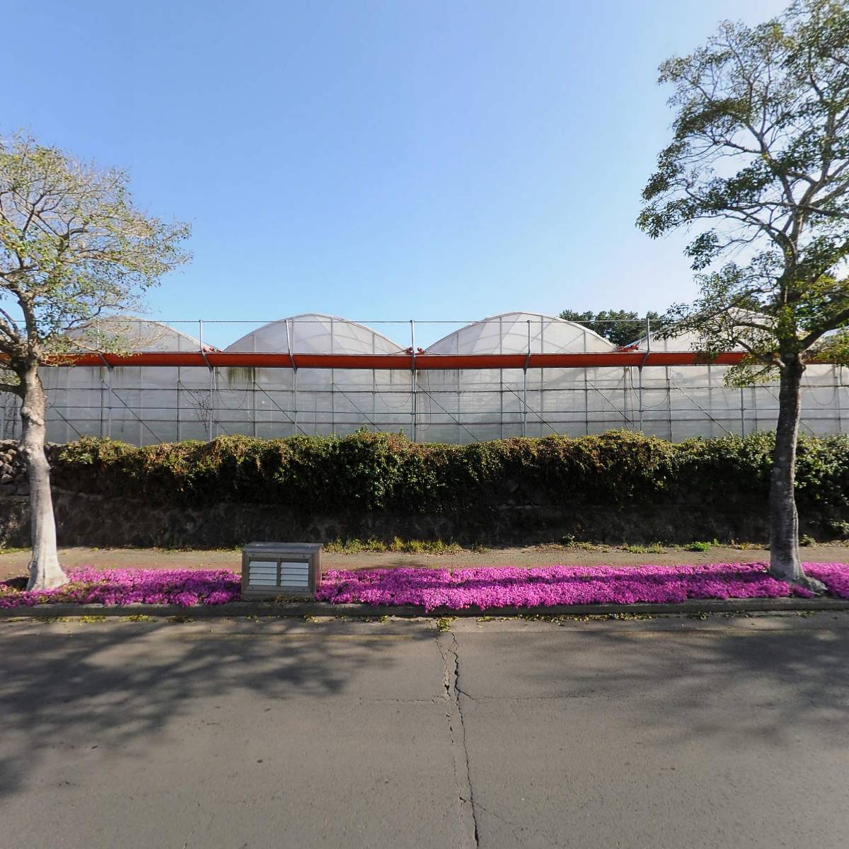 서귀포흑돈_3