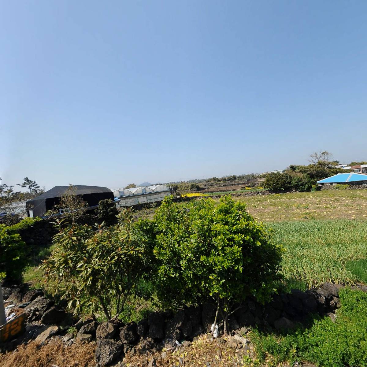 명리동식당세화점_3