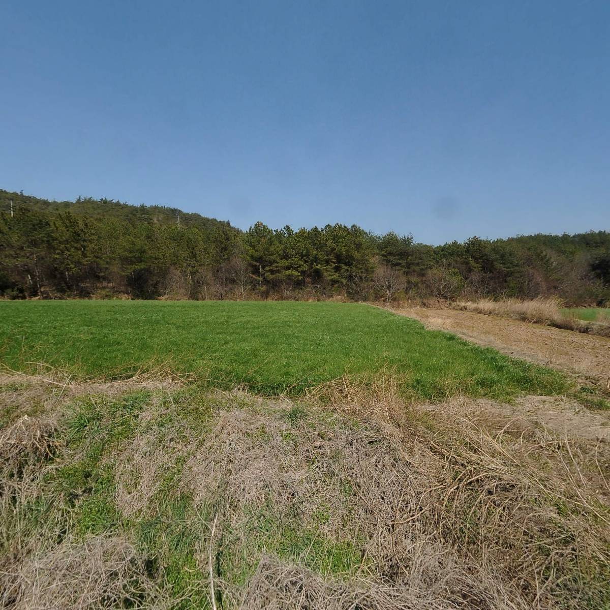 농업회사법인주식회사 승언팜스_3