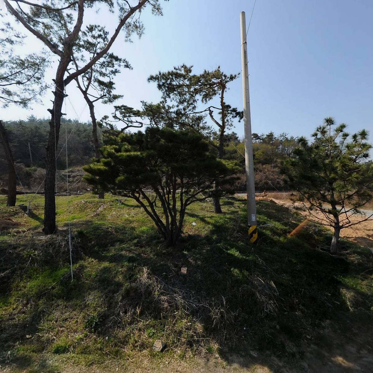 통큰한우
